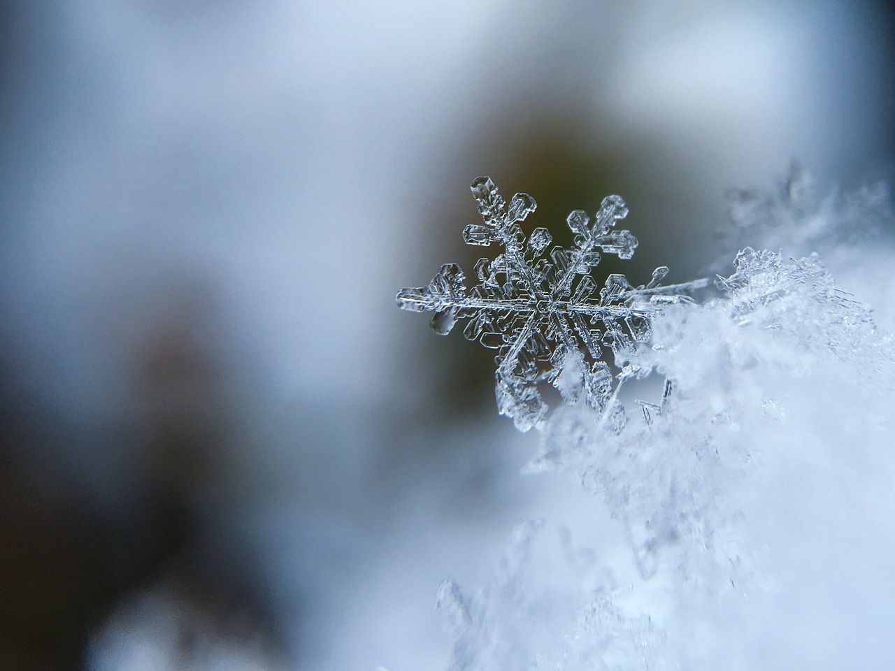 chaine du froid