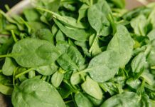 Ces 2 recettes vont réconcilier les épinards et vos enfants Ces 2 recettes vont réconcilier les épinards et vos enfants