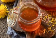 2 initiatives vegan au miel 2 initiatives vegan au miel