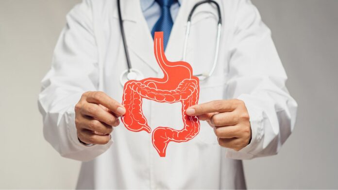 Rééquilibrez votre microbiote intestinal grâce à ces recettes