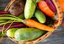 Conservation des aliments : comment garder vos légumes frais et longtemps conservation des aliments