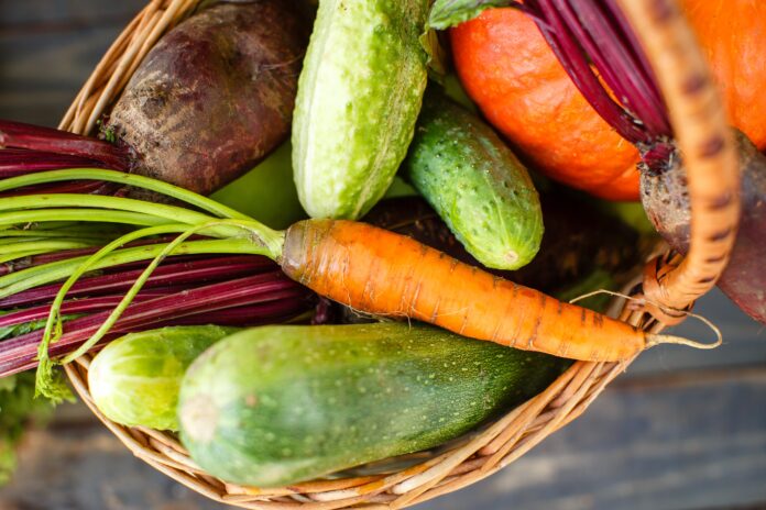 conservation des aliments