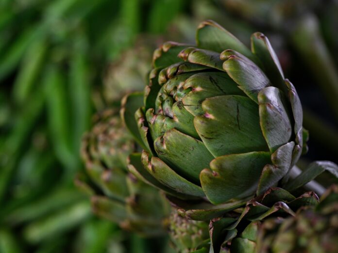 recettes-pour-tous_Artichaut saveur royale et bienfaits vivants dans la cuisine moderne_engin-akyurt-94OPLNJsUGg-unsplash Artichaut