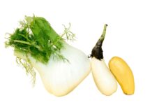 Le fenouil revisité du Chef Mark Fenouil