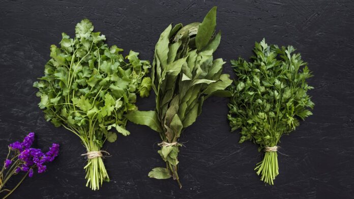 recettes-pour-tous_Ces herbes fraîches qui transforment vos recettes de printemps_modern-kitchen-composition-with-healthy-ingredients herbes fraîches